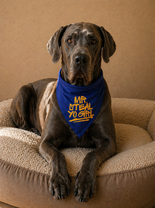 Mr. Steal Yo Girl Dog Bandana