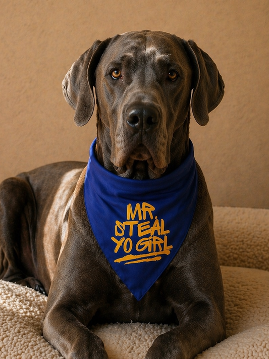 Mr. Steal Yo Girl Dog Bandana