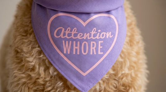 Attention Whore Dog Bandana