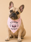 It's Givin' Dog Bandana