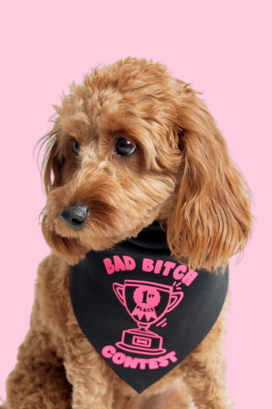 Bad Bitch Contest Dog Bandana