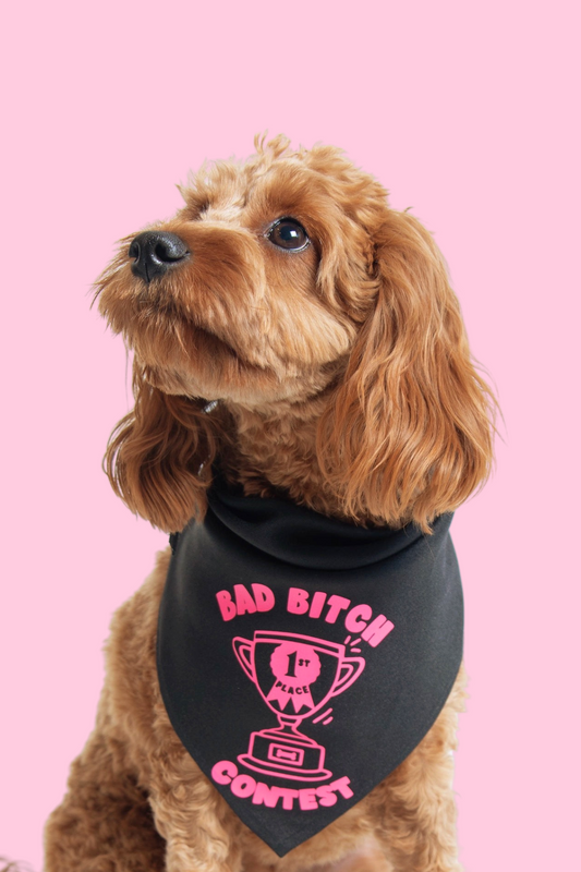 Bad Bitch Contest Dog Bandana