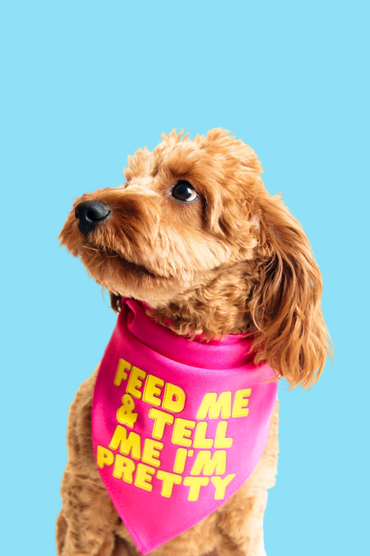 Feed Me & Tell Me I'm Pretty Dog Bandana