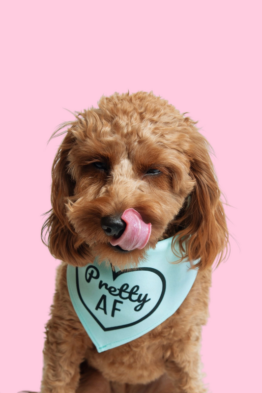 PRETTY AF Dog Bandana