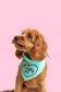 PRETTY AF Dog Bandana