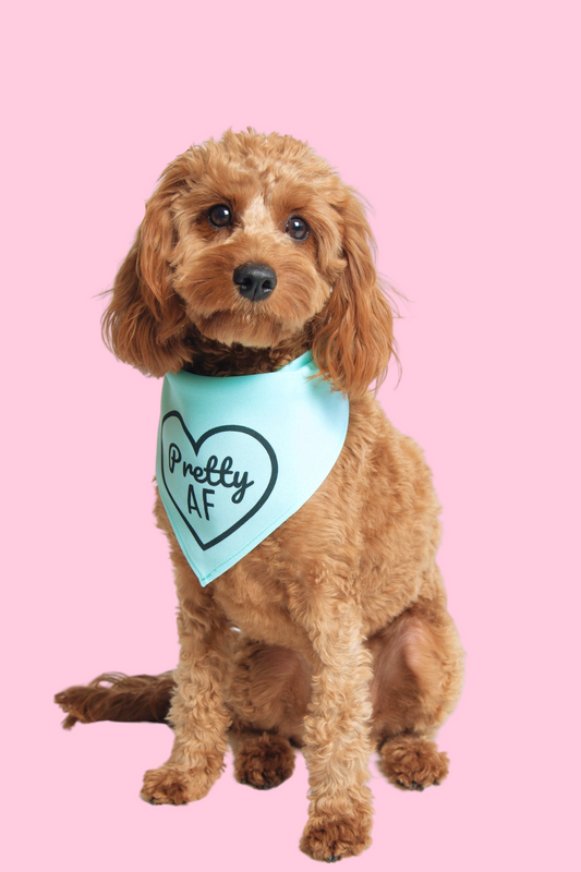 PRETTY AF Dog Bandana